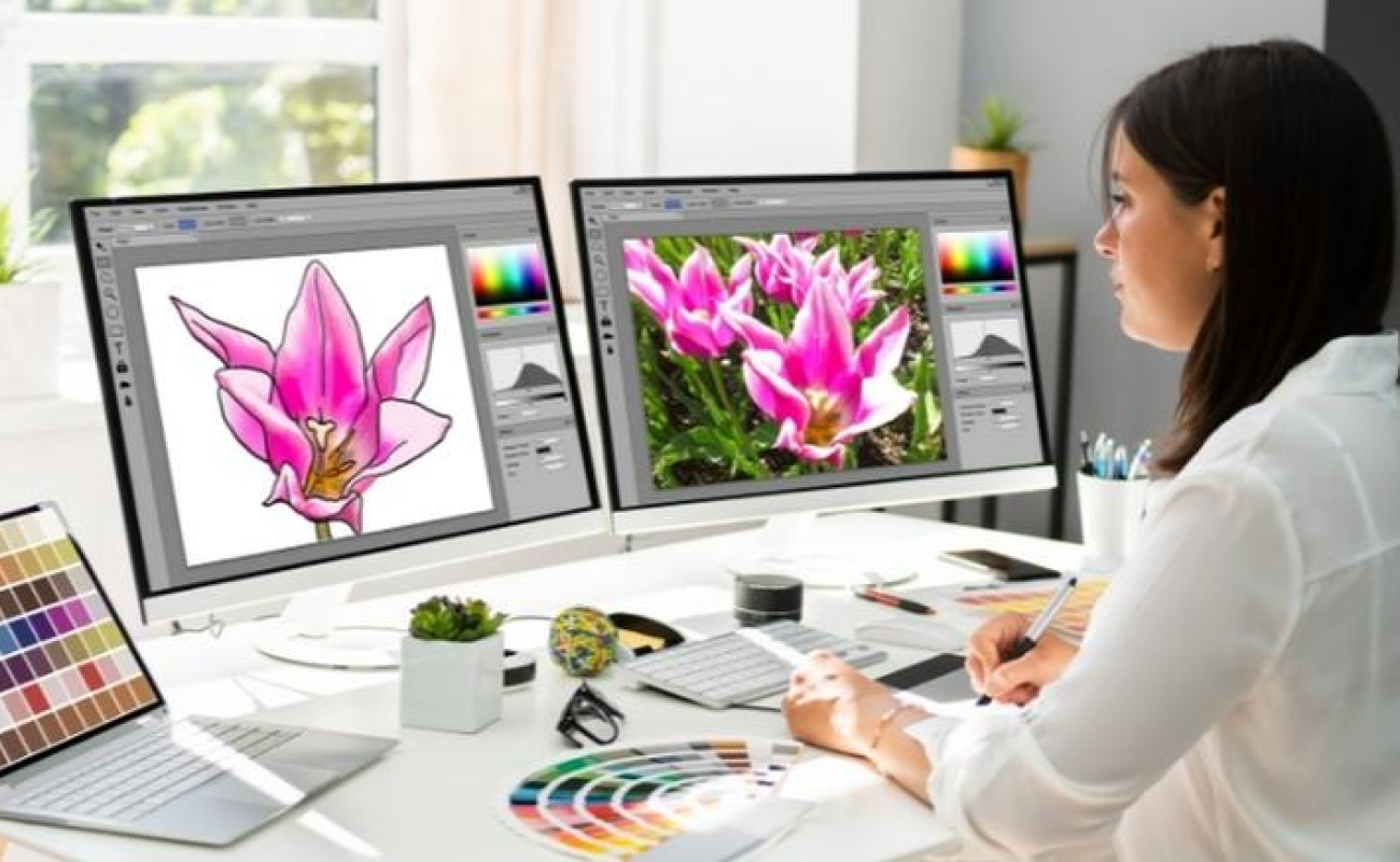 Diseño web profesional Detvaxer